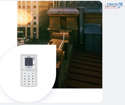 Empowering Users with Real-Time Insights: The Flecto Customer Interface Unit
