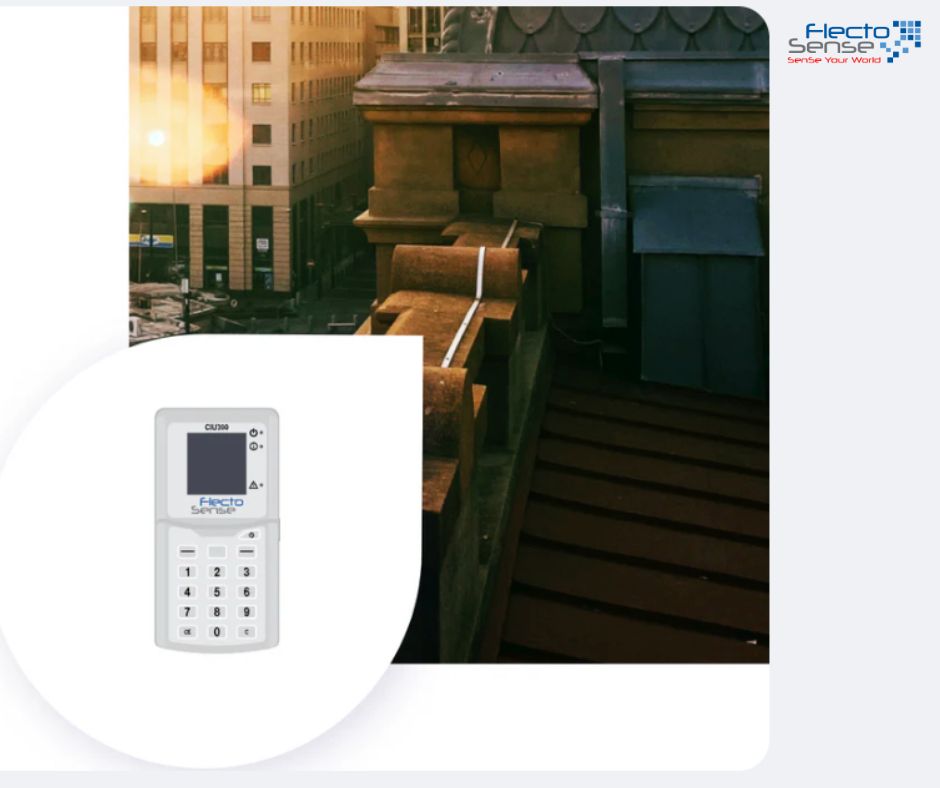 Empowering Users with Real-Time Insights: The Flecto Customer Interface Unit